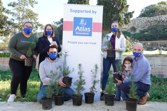 Atlas Insurance collaborates with Saġġar and Ħaż-Żebbug local council to replant stolen trees